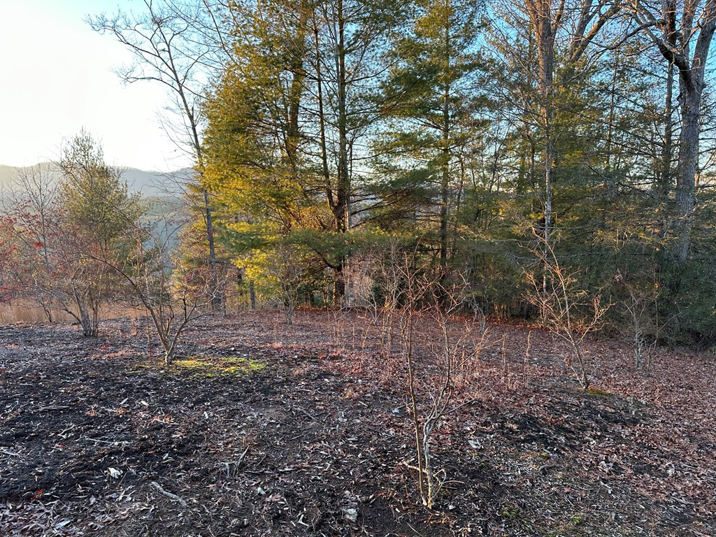 30.57-ac Old Orch Road Murphy, NC 28906 - Photo 2 of 23