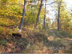 714 County Line Road Cairo, WV 26337 - Photo 9 of 9 Gallery Image 9