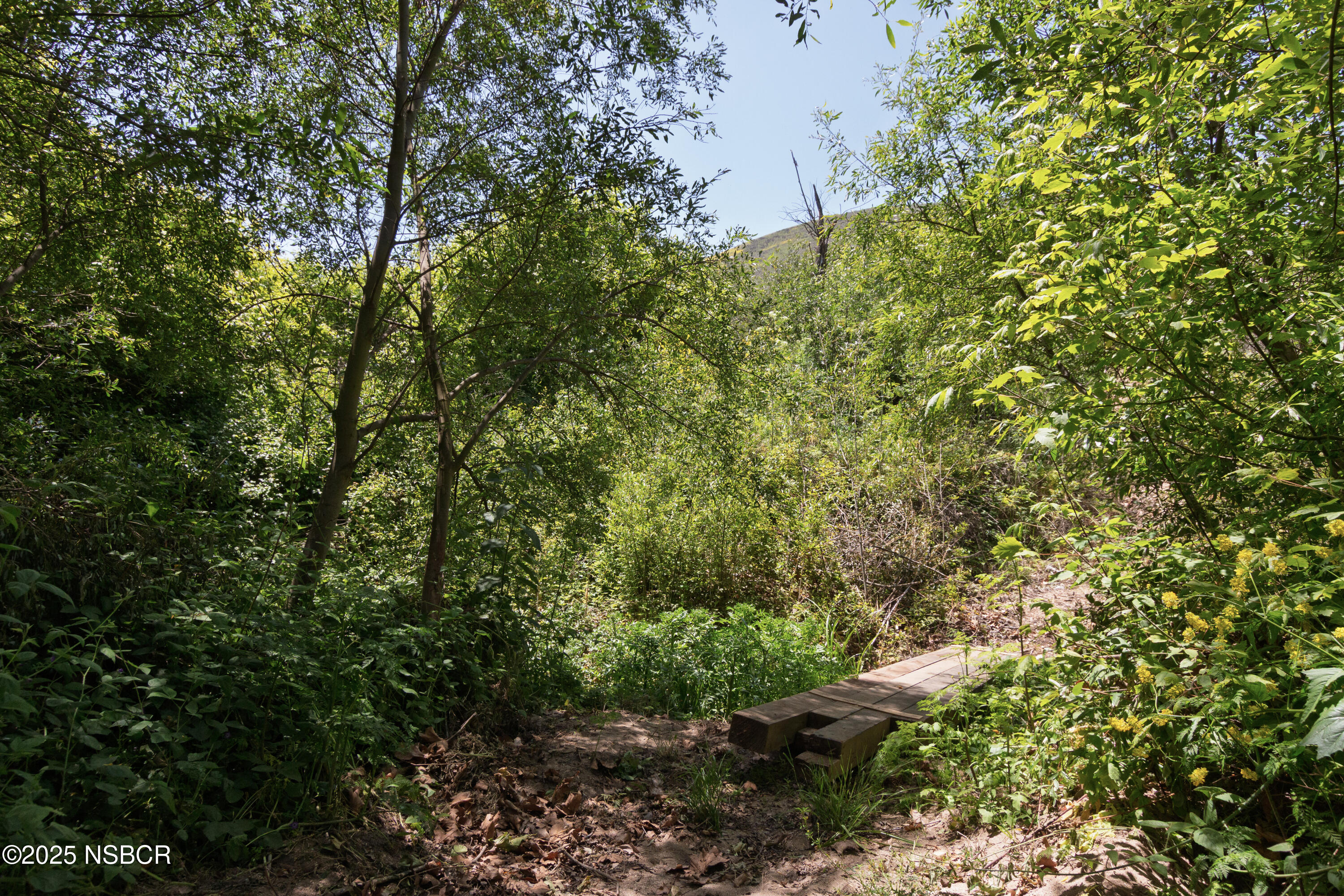 4651 Tepusquet Road Santa Maria, CA 93454 - Photo 56 of 62 16-4651 Tepusquet Rd-60