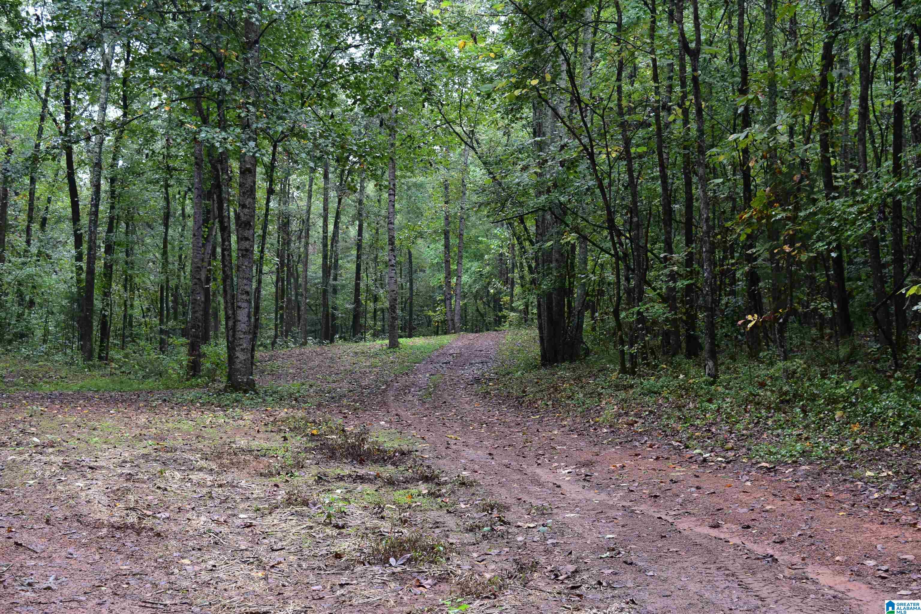 Copper Road Columbiana, AL 35051 - Photo 6 of 56 Gallery Image 6