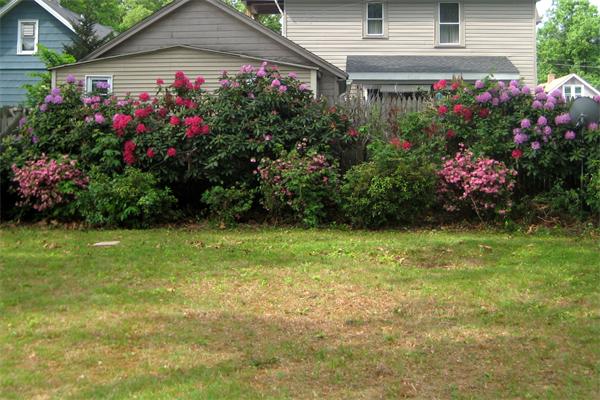 86 Judson Street Springfield, MA 01104 - Photo 7 of 8