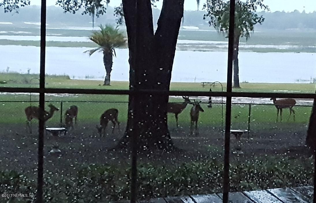 6954 Gatorbone Road Keystone Heights, FL 32656 - Photo 5 of 33 05) Deer in backyard