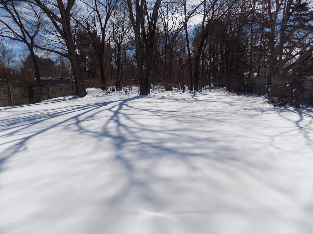 163 Prouty Street Springfield, MA 01119 - Photo 8 of 9