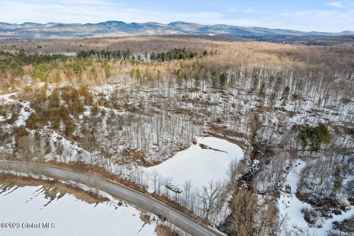 531 Deweys Bridge Road Comstock, NY 12821 - Photo 6 of 10 3-DJI_0851