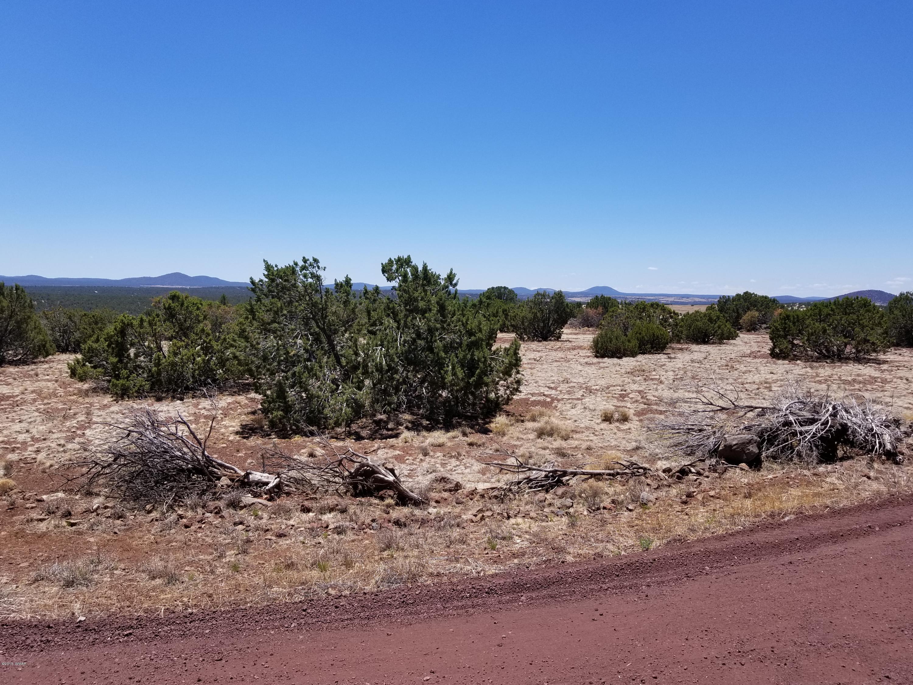 St-johns Az 85936 Concho, AZ 85924 - Photo 12 of 16