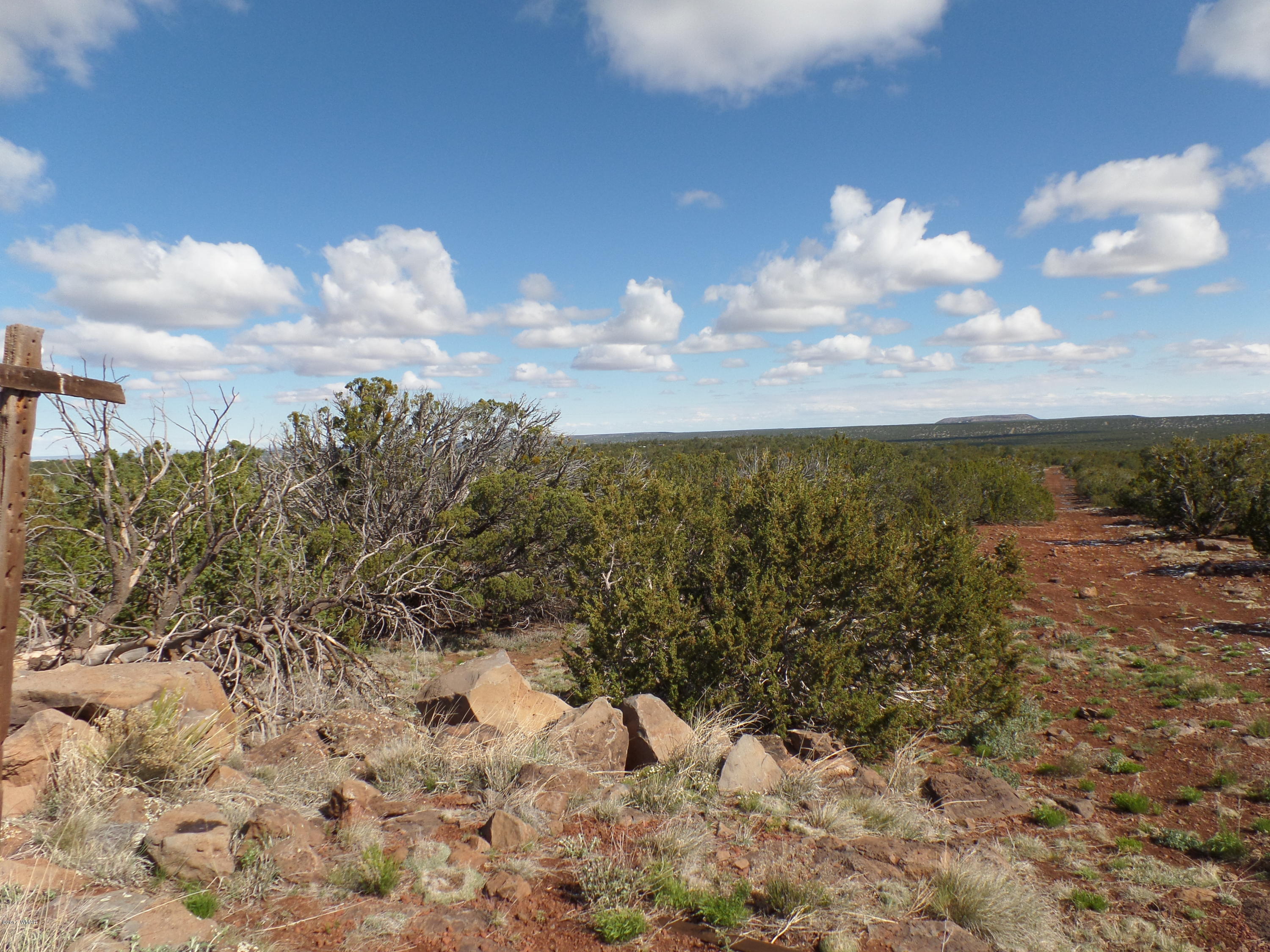 St-johns Az 85936 Concho, AZ 85924 - Photo 2 of 16 a view of a large body of water with lots of trees