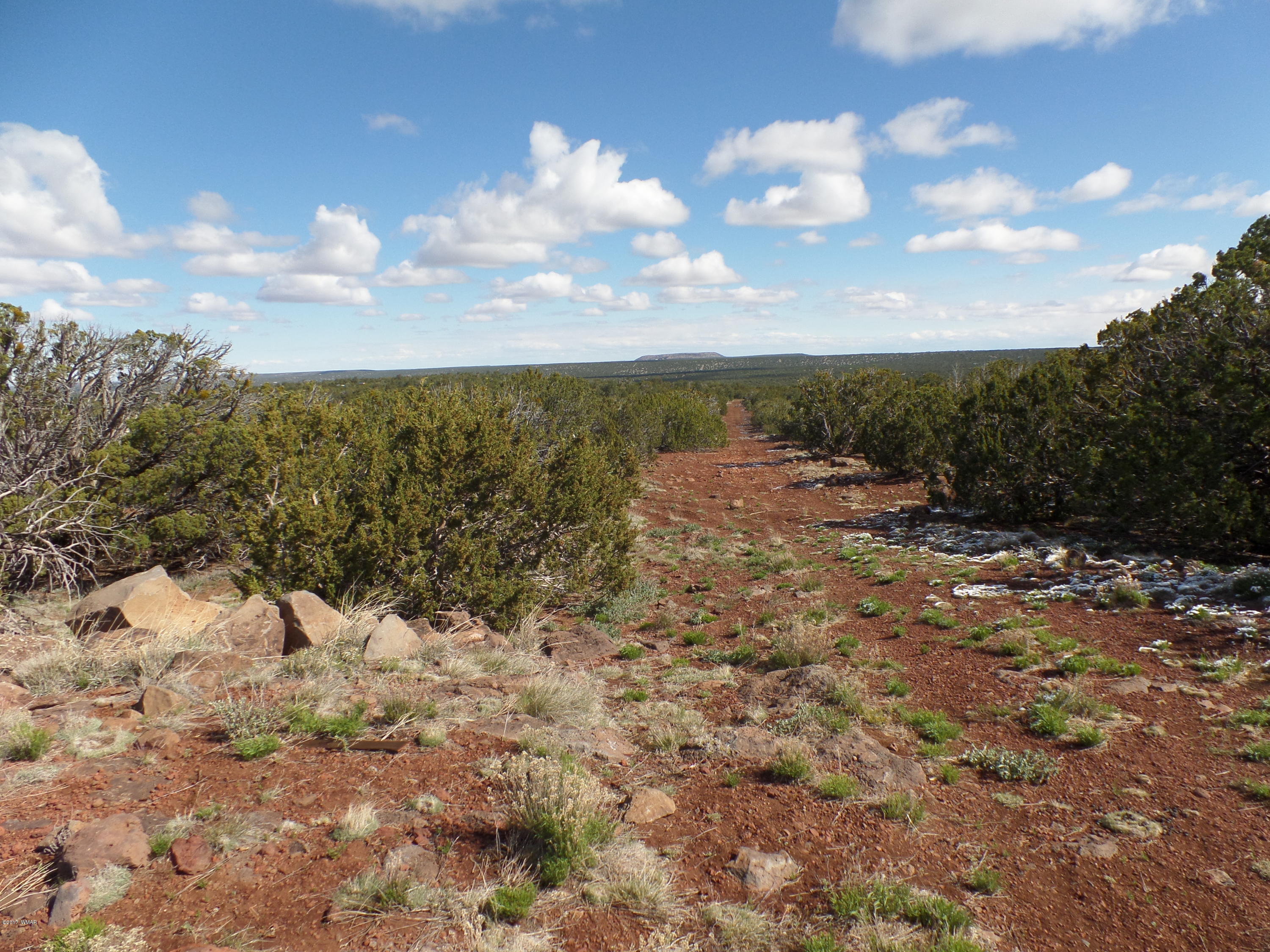 St-johns Az 85936 Concho, AZ 85924 - Photo 3 of 16 a view of a dry yard with lots of green space