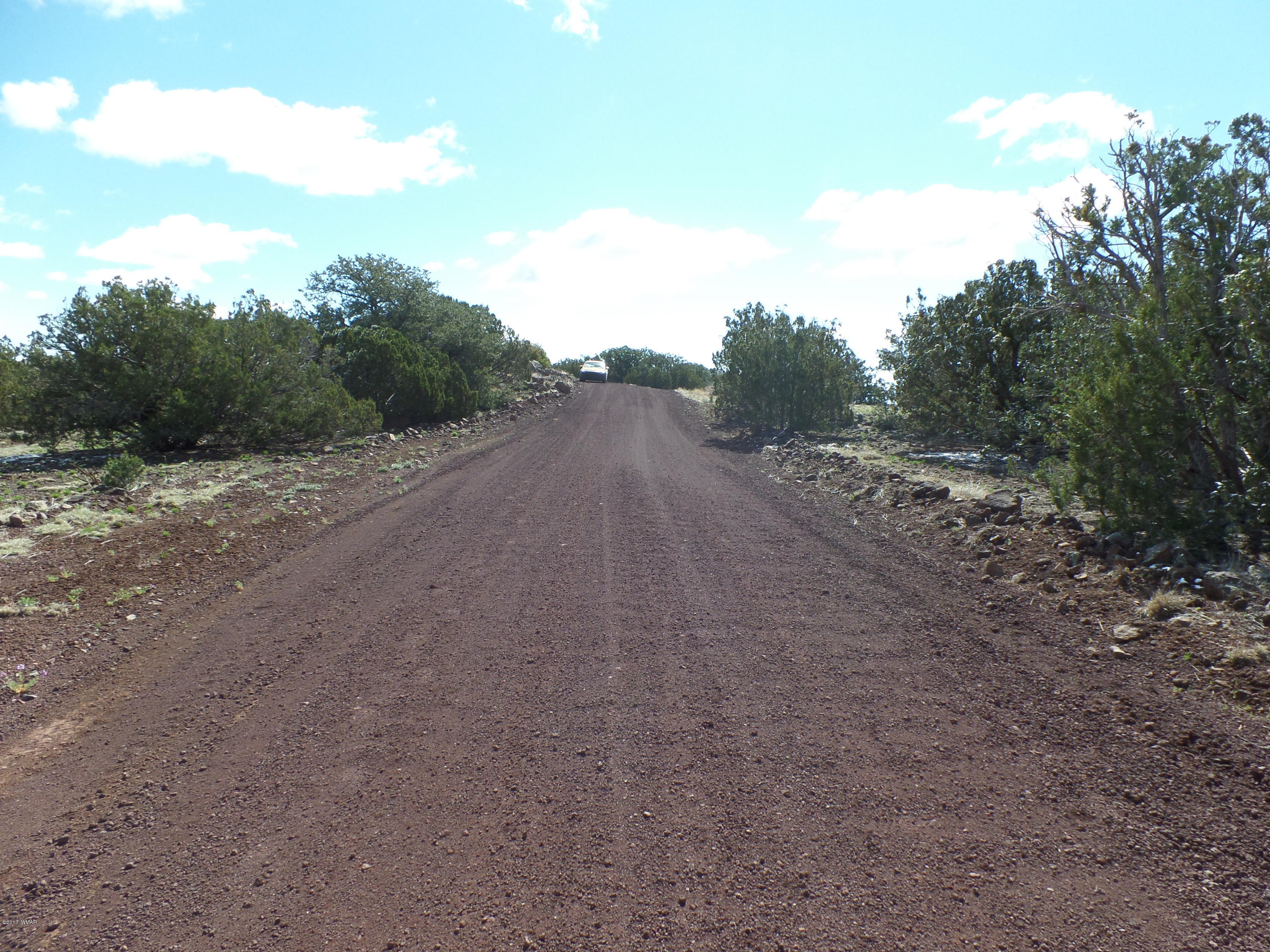 St-johns Az 85936 Concho, AZ 85924 - Photo 4 of 16 a view of a dirt road with trees in the background