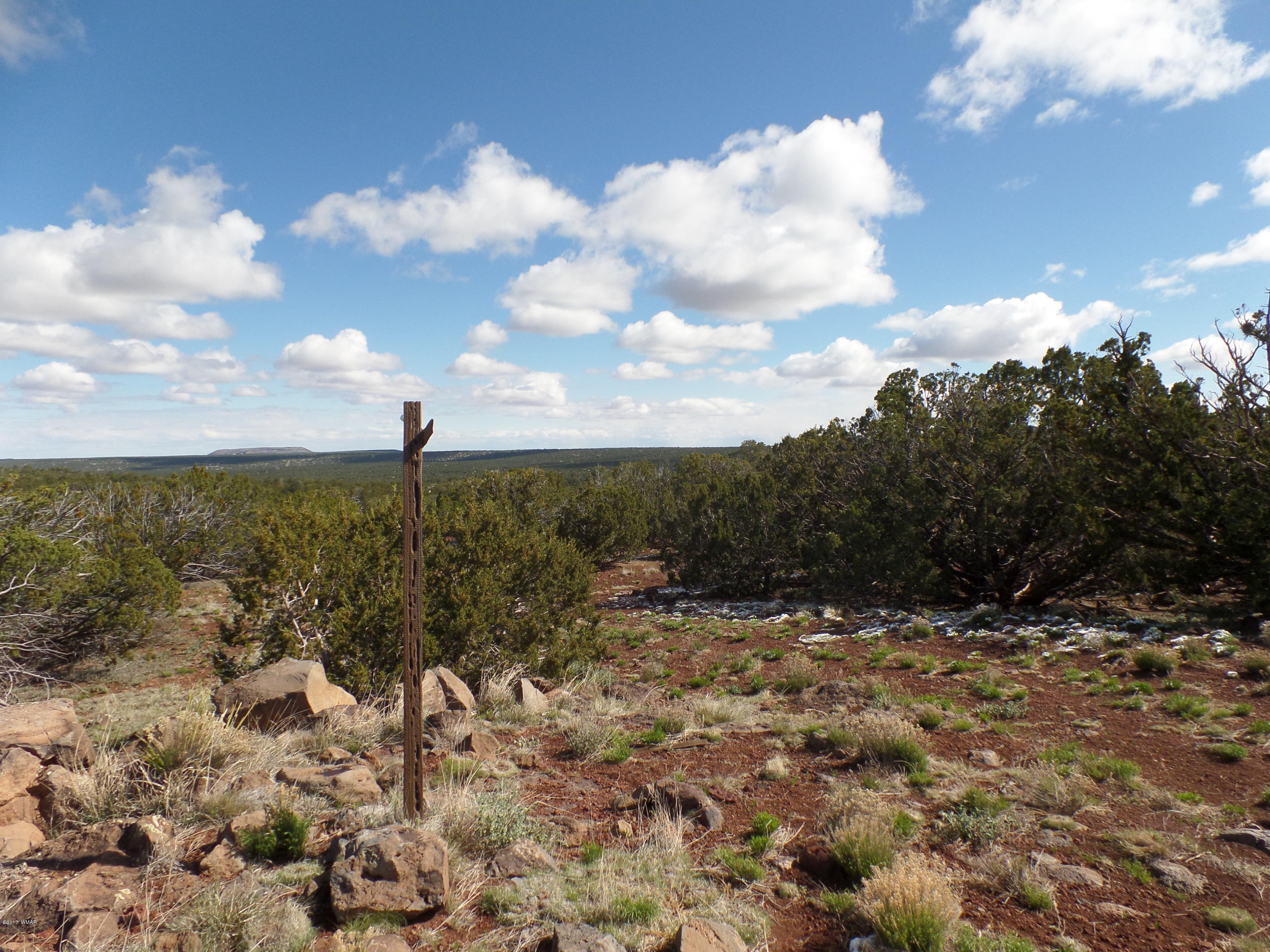 St-johns Az 85936 Concho, AZ 85924 - Photo 6 of 16 a view of a yard