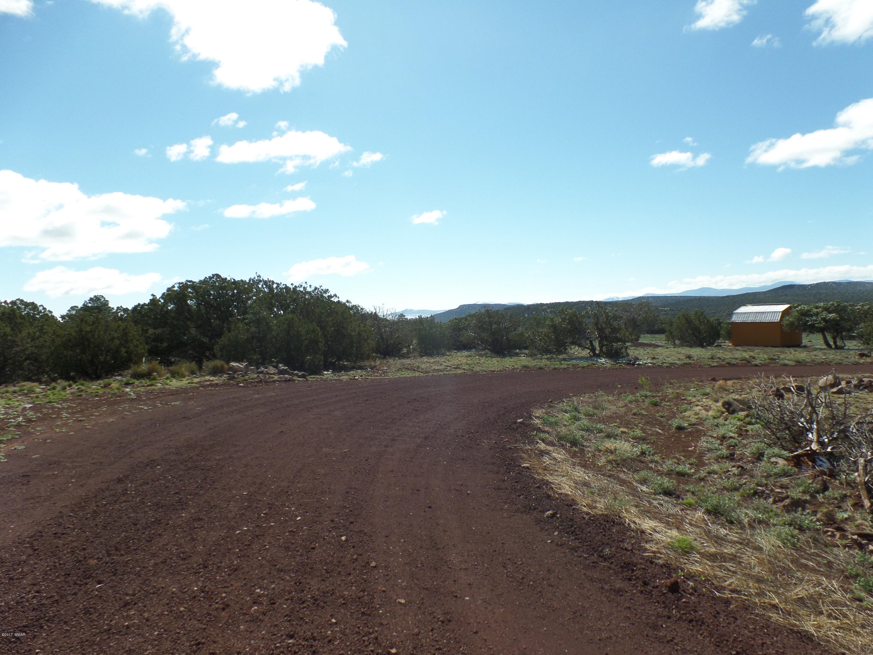 St-johns Az 85936 Concho, AZ 85924 - Photo 7 of 16 a view of outdoor space and yard