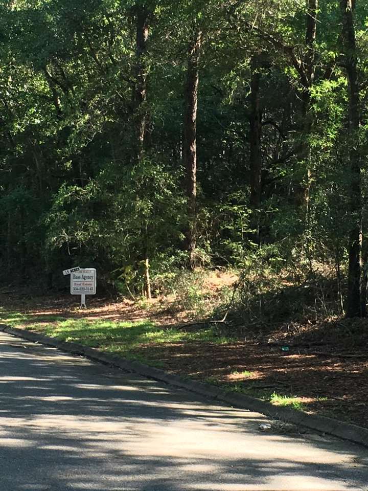 0 Edwards Road Andalusia, AL 36421 - Photo 2 of 3 Gallery Image 2