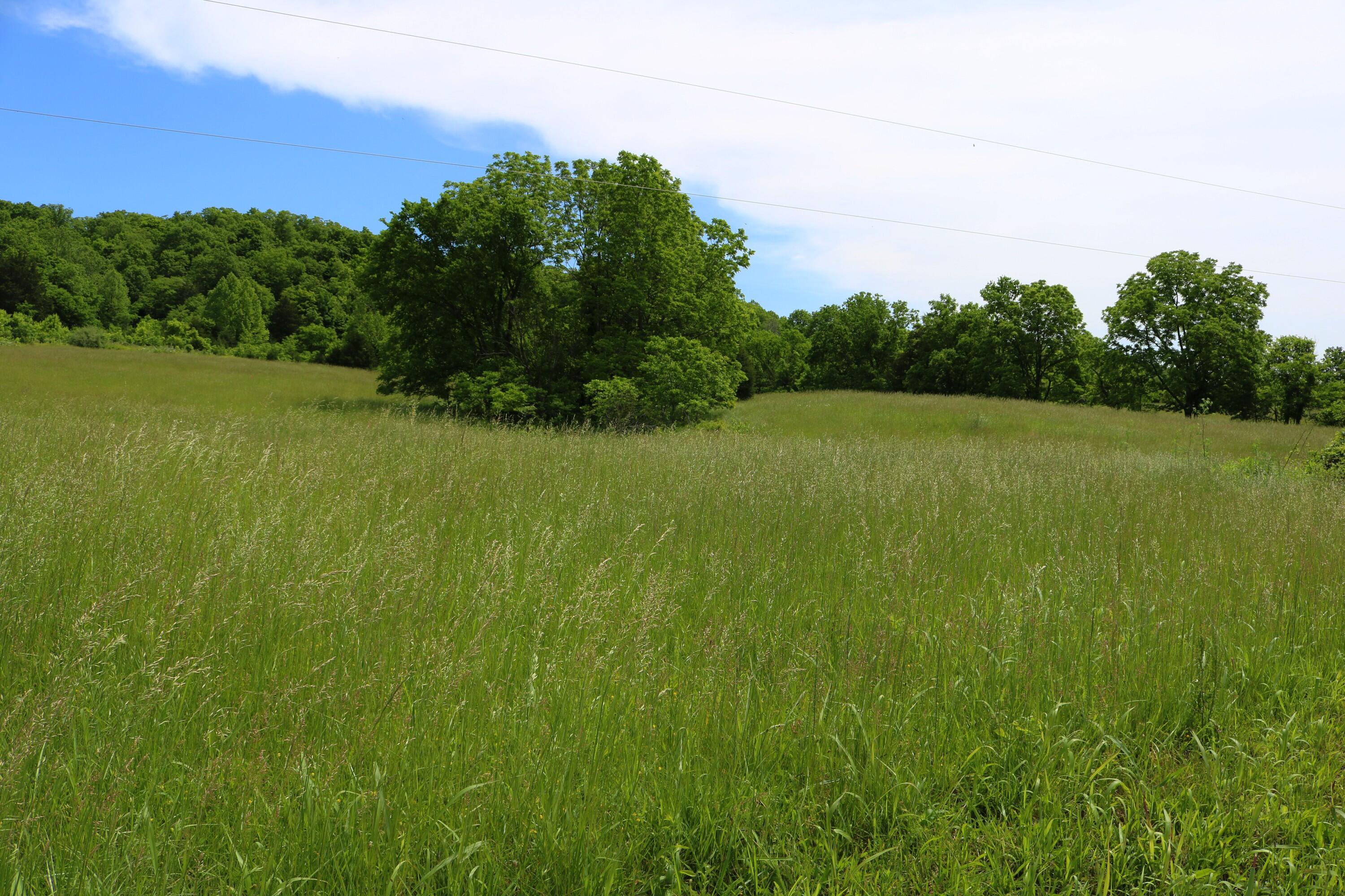 25.78 McDonald Ferry Road Frankfort, KY 40601 - Photo 12 of 14