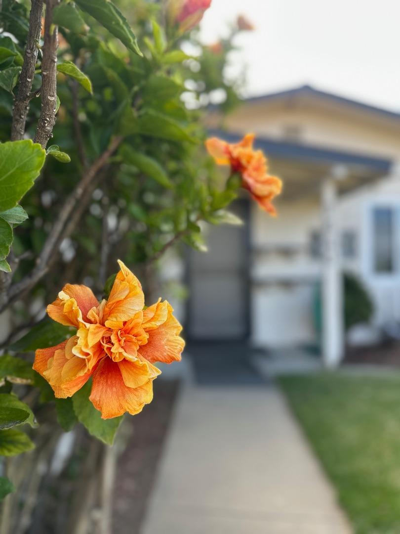 1640 Ukiah Way Salinas, CA 93906 - Photo 6 of 34