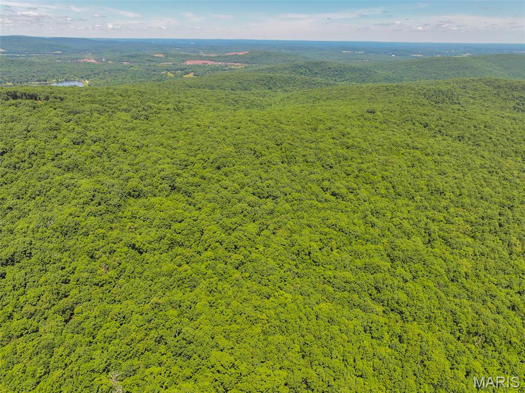 2 King School Road Ironton, MO 63650 - Photo 9 of 28