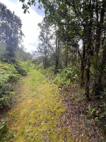 $55,000 | 48 Kolea Street, Mountain View, HI 96771