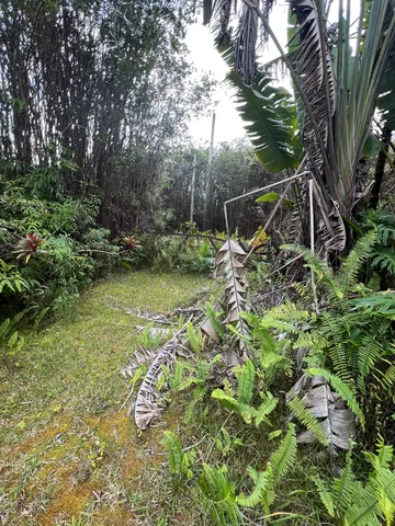 $55,000 | 48 Kolea Street, Mountain View, HI 96771