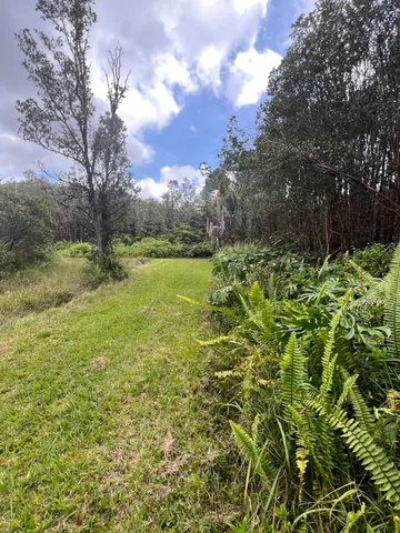 $55,000 | 48 Kolea Street, Mountain View, HI 96771