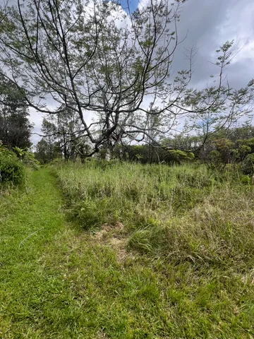 $55,000 | 48 Kolea Street, Mountain View, HI 96771