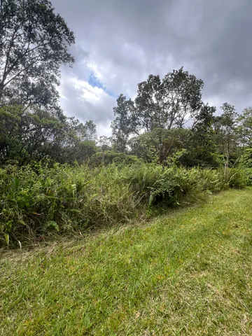 $55,000 | 48 Kolea Street, Mountain View, HI 96771