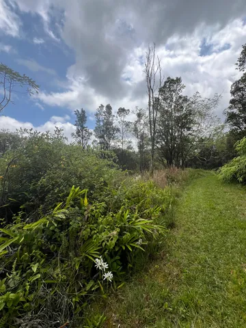 $55,000 | 48 Kolea Street, Mountain View, HI 96771