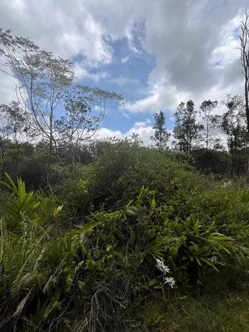 $55,000 | 48 Kolea Street, Mountain View, HI 96771