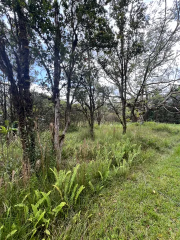 $55,000 | 48 Kolea Street, Mountain View, HI 96771