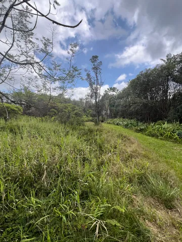 $55,000 | 48 Kolea Street, Mountain View, HI 96771