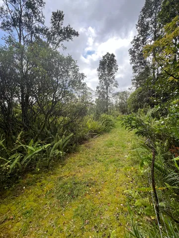 $55,000 | 48 Kolea Street, Mountain View, HI 96771