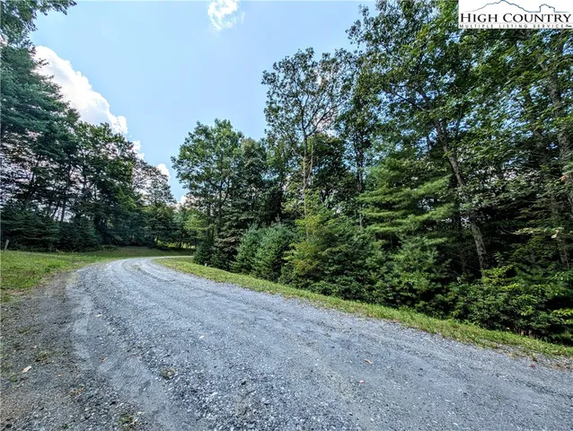 a view of a yard with a plants and trees