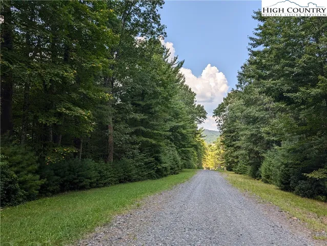 a view of a big yard with large trees