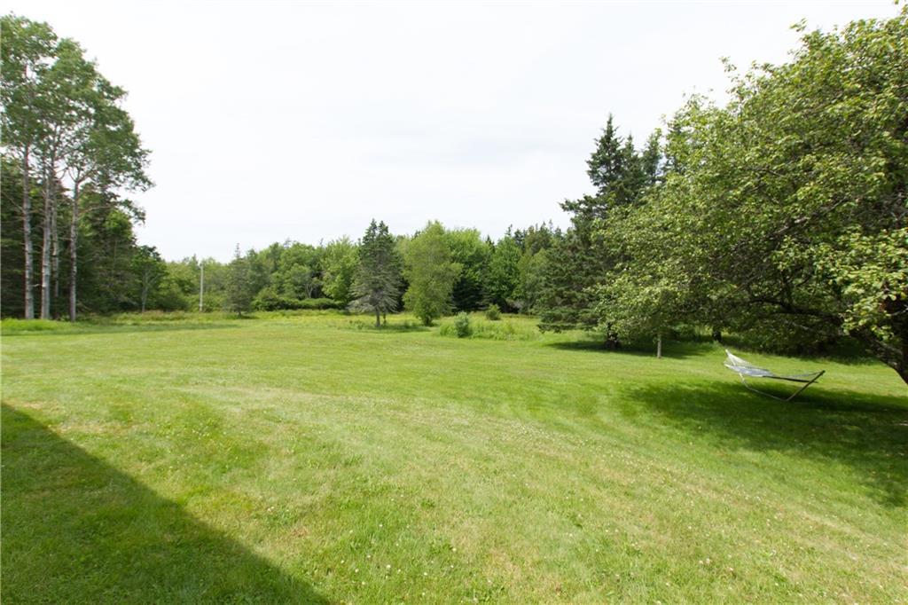56 Reach Road Deer Isle, ME 04627 - Photo 6 of 24 Back Lawn