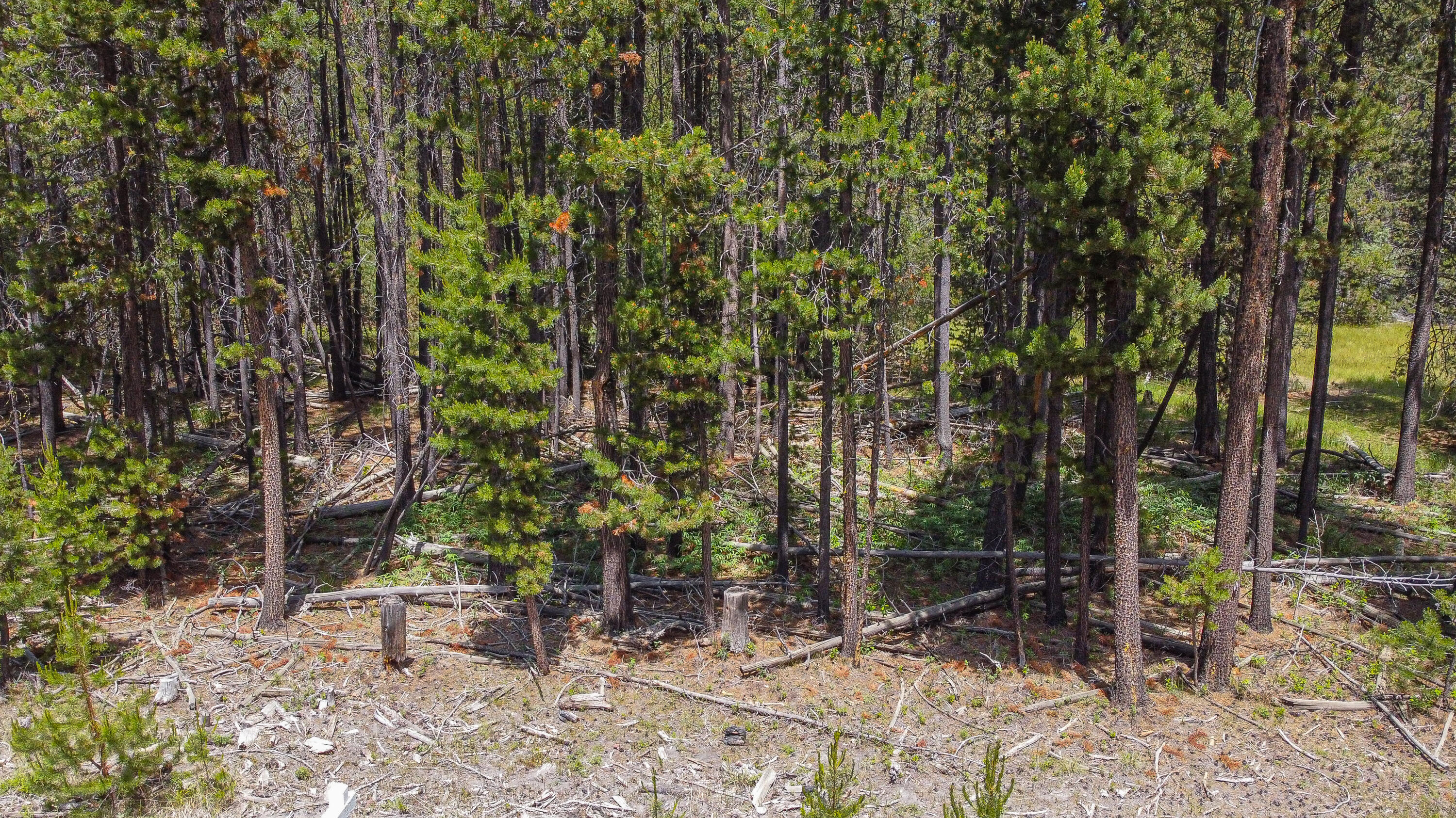 16944 Glendale Road Bend, OR 97707 - Photo 2 of 13 16944 Glendale-01
