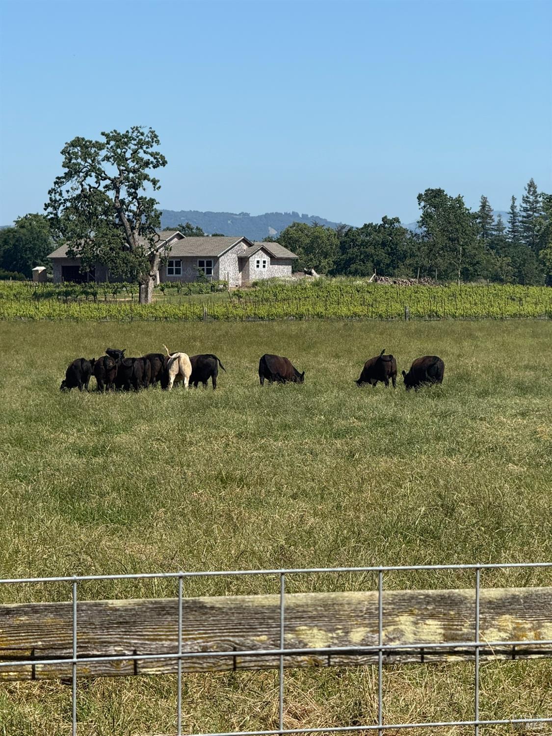 5820 Hall Road Santa Rosa, CA 95401 - Photo 41 of 53