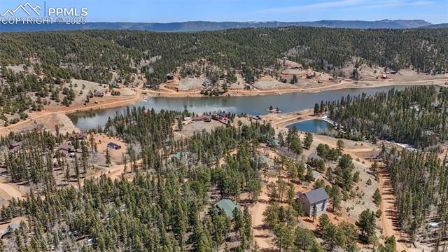241 Ridge Road Divide, CO 80814 - Photo 3 of 10 Gallery Image 3