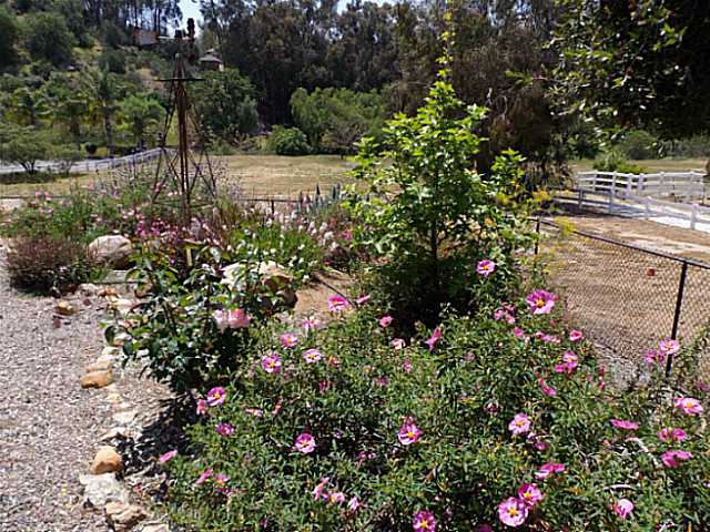 2165 South Grade Road Alpine, CA 91901 - Photo 11 of 14