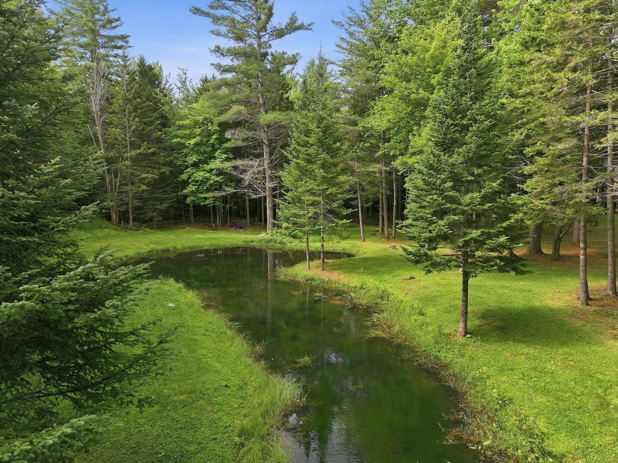 1369 West Hill Road Roxbury, VT 05669 - Photo 56 of 60 Gallery Image 56