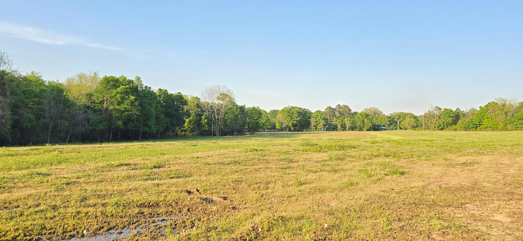 Lot 7 Acres Grady Garner Road Slocomb, AL 36375 - Photo 25 of 58