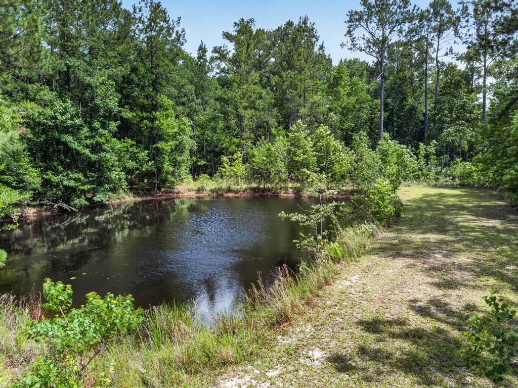 76390 Dove Road Yulee, FL 32097 - Photo 51 of 55