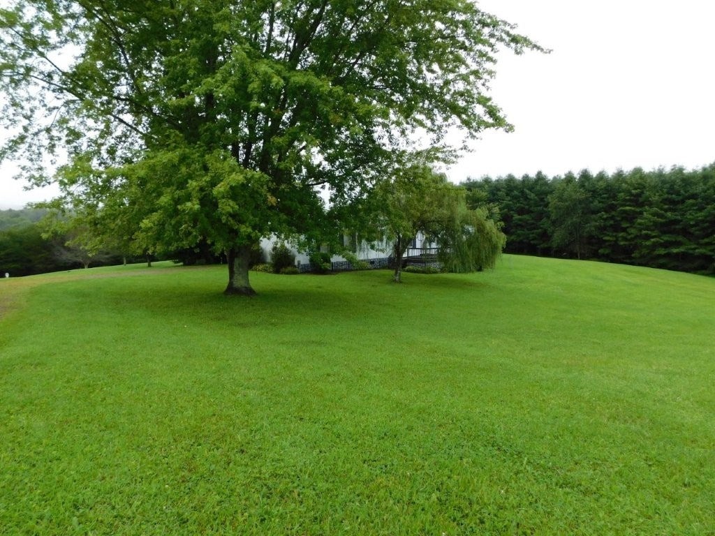 Gallery Image 6