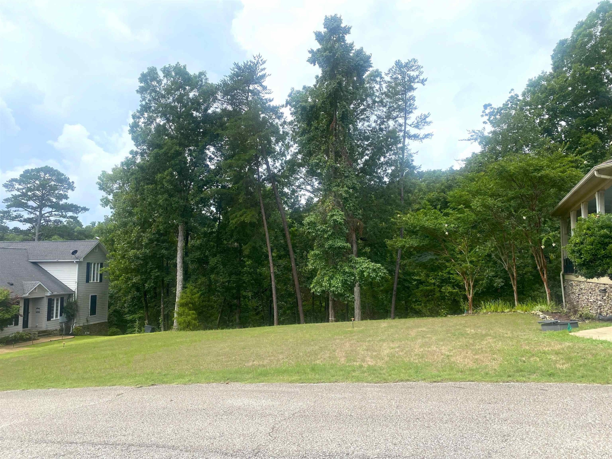 0 Light Pointe Point Savannah, TN 38372 - Photo 7 of 12 Gallery Image 7