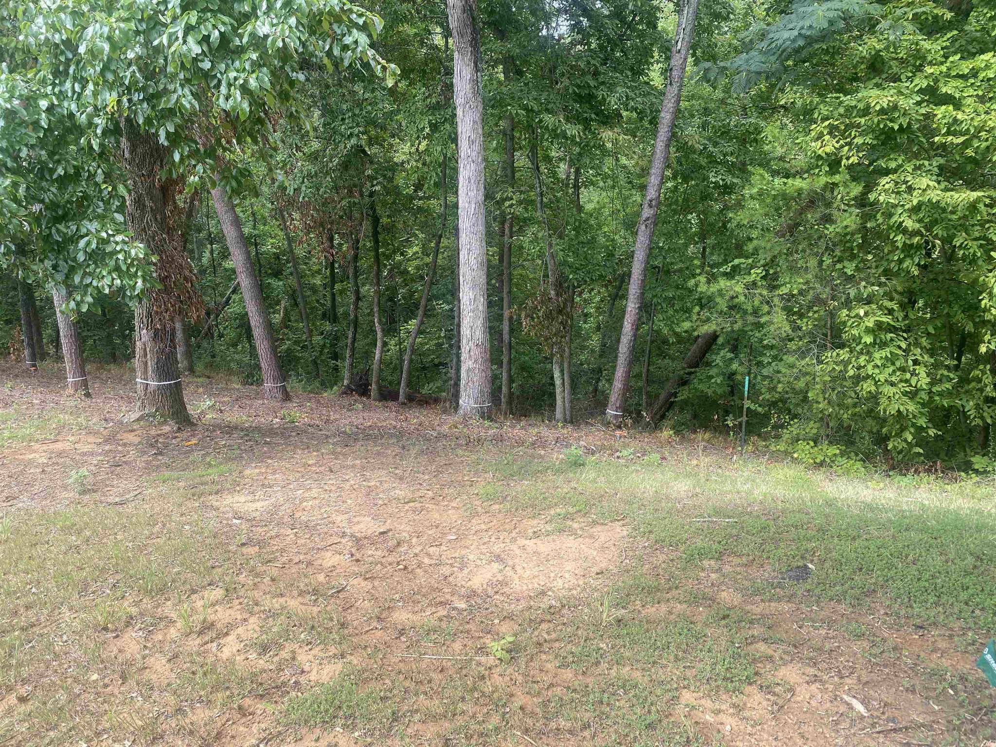 0 Light Pointe Point Savannah, TN 38372 - Photo 10 of 12 Gallery Image 10