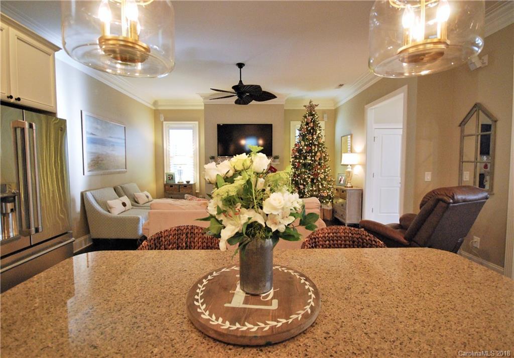 353 Horton Grove Road Fort Mill, SC 29715 - Photo 6 of 34 Gallery Image 6