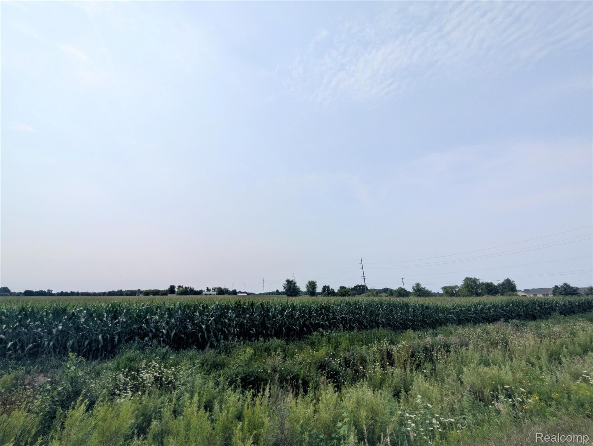 Vl Brown Road Avoca, MI 48006 - Photo 3 of 6 1000006594.jpg