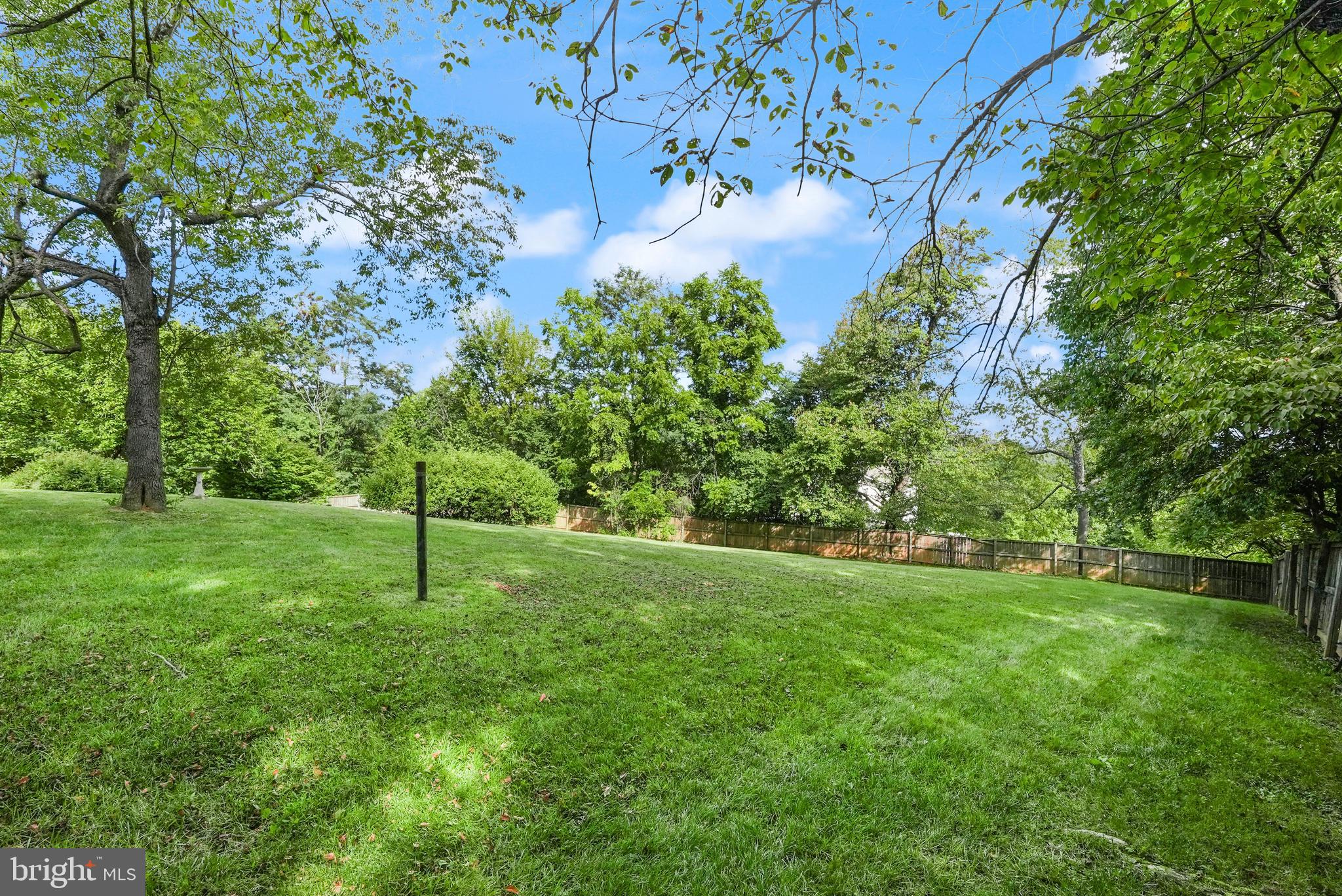 393 High Knob Road Front Royal, VA 22630 - Photo 68 of 83 Gallery Image 68