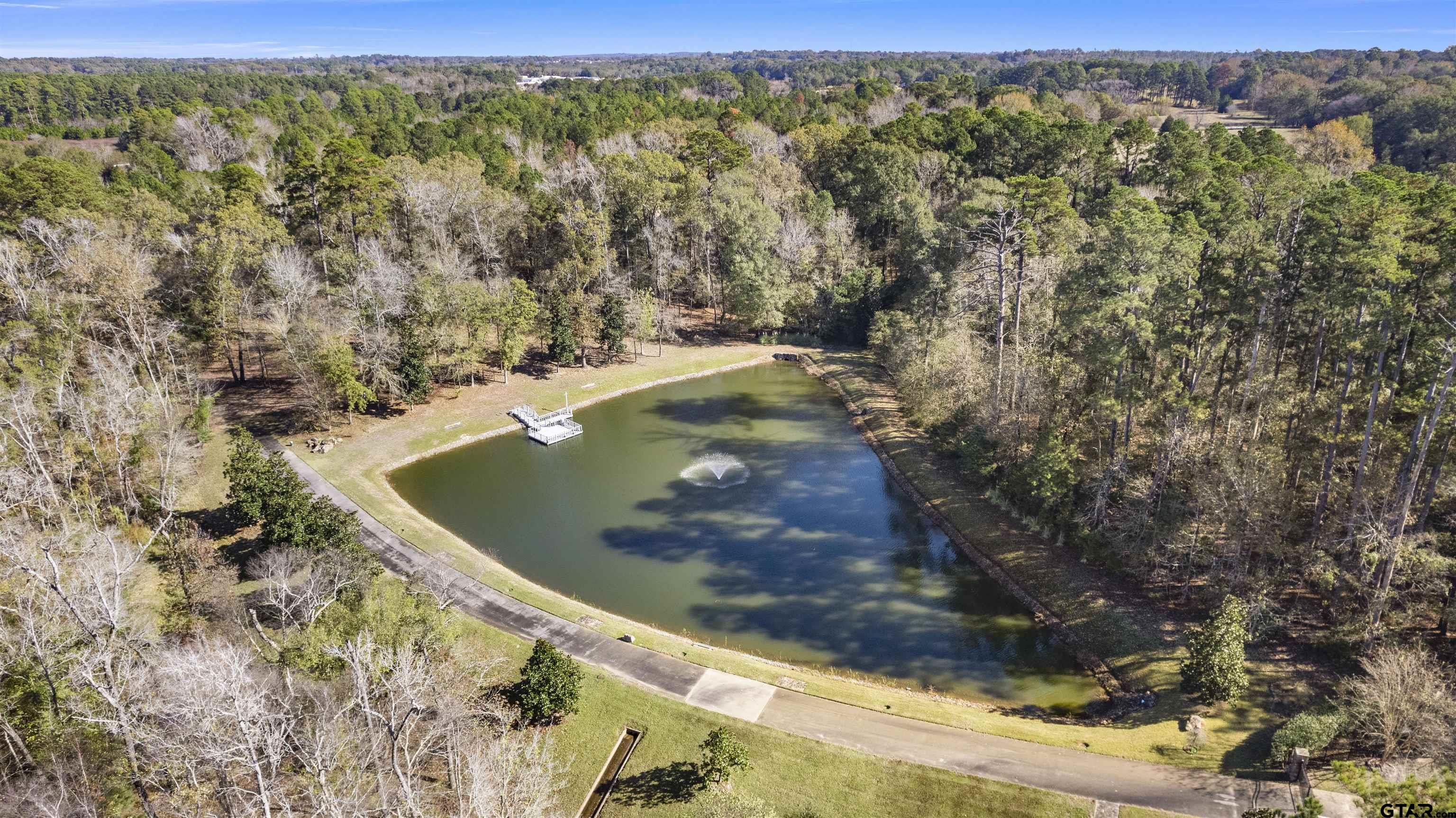 8702 Wilder Trail Tyler, TX 75703 - Photo 1 of 5 a view of a forest with mountains in the background