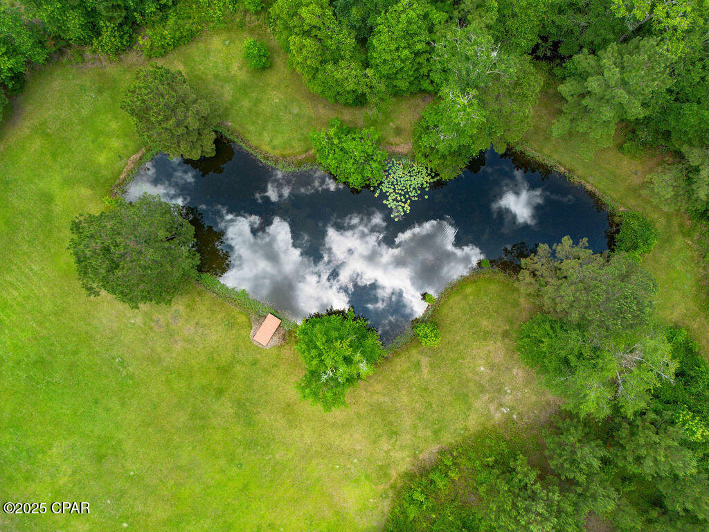 3256 Shady Grove Road Vernon, FL 32462 - Photo 54 of 61 Gallery Image 54