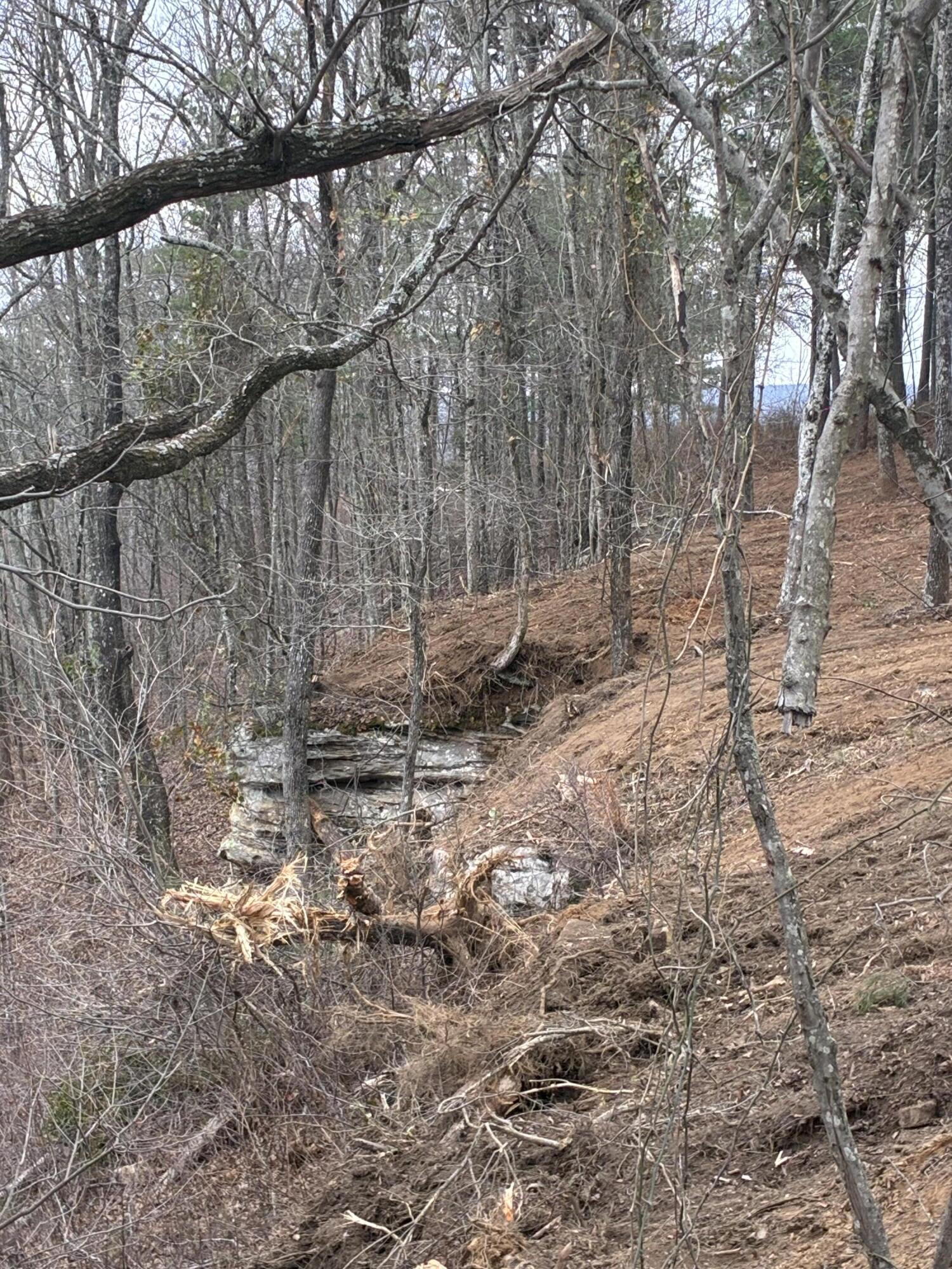 4690 Split Rail Way, Unit 1359 Whiteside, TN 37396 - Photo 12 of 43 IMG_3916