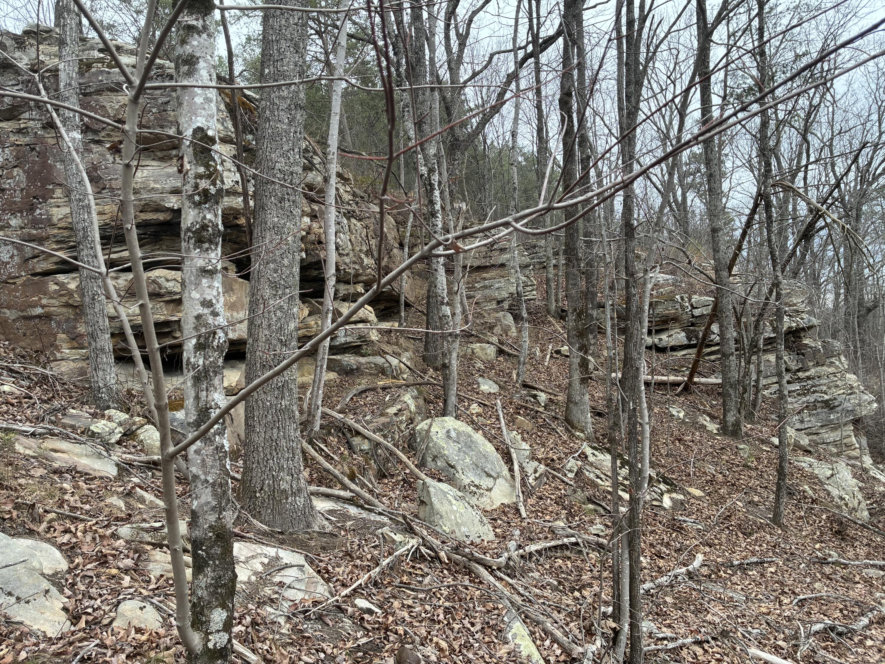 4690 Split Rail Way, Unit 1359 Whiteside, TN 37396 - Photo 13 of 43 IMG_3902