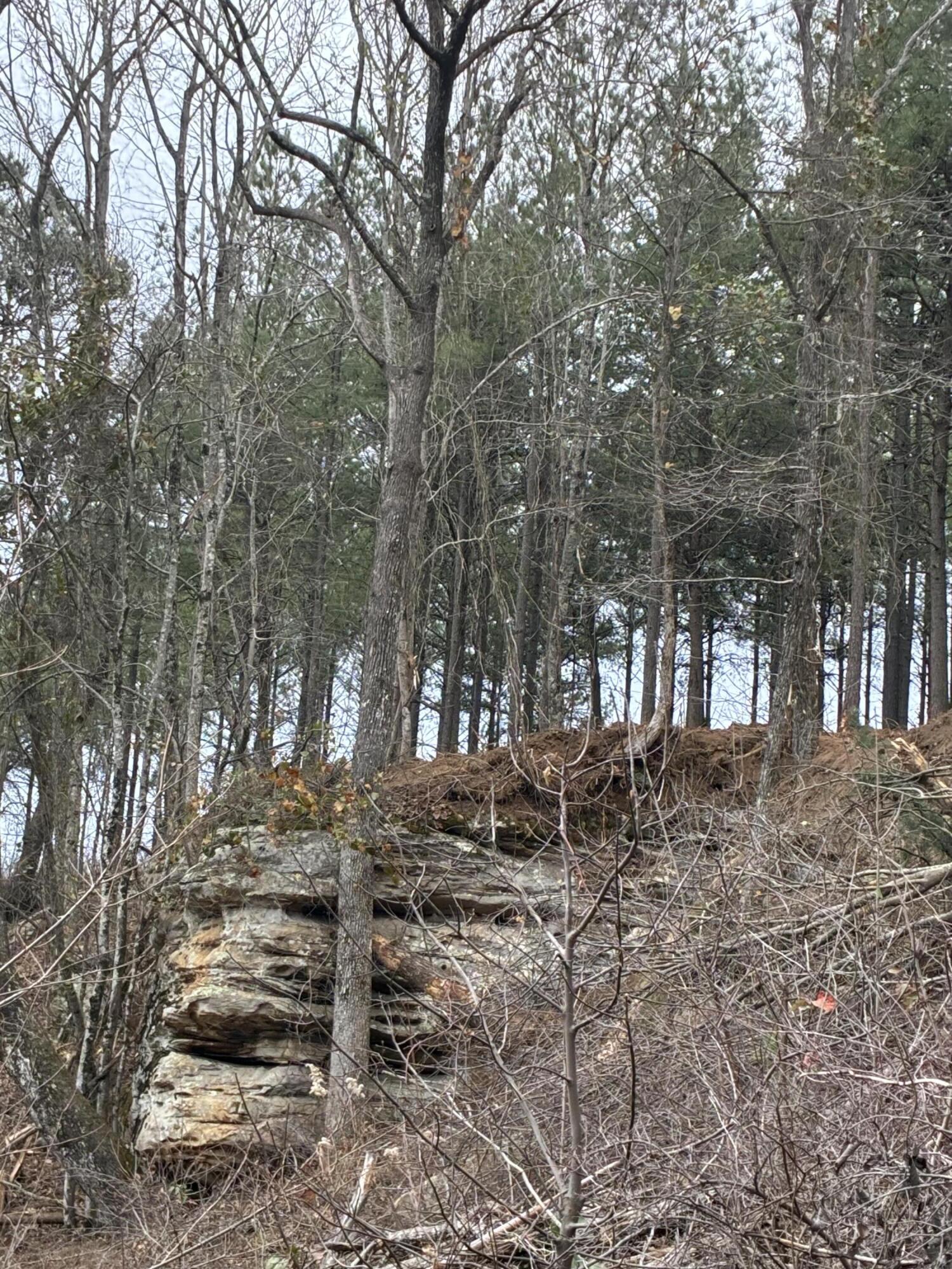 4690 Split Rail Way, Unit 1359 Whiteside, TN 37396 - Photo 14 of 43 IMG_3900