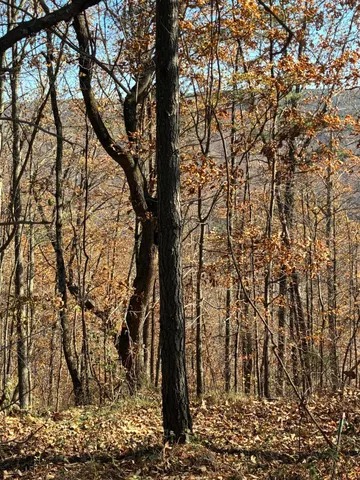 $499,000 | 4690 Split Rail Way, Unit 1359, Whiteside, TN 37396